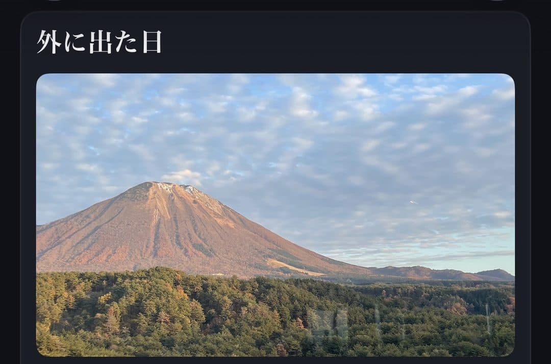 DoubleHub のアルバム。6月の章の「外に出た日」のページ。場面の題と、その日の主役の写真